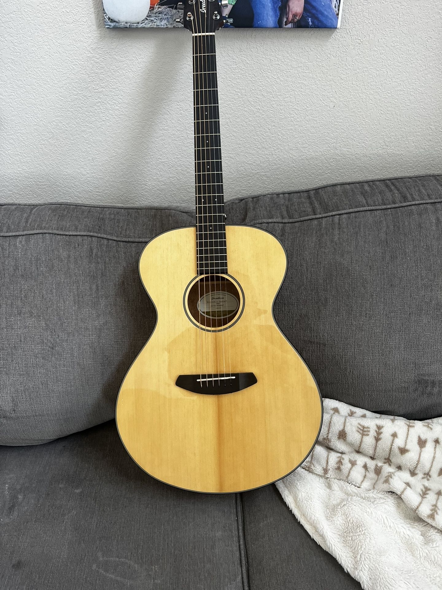 Breedlove Acoustic Guitar/case