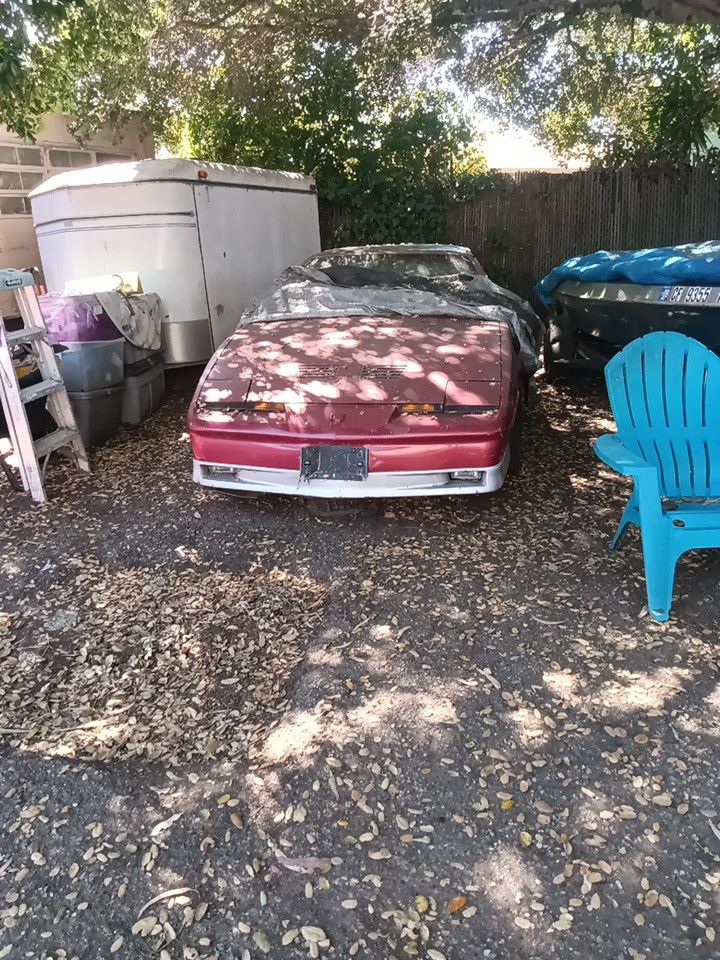 87 Trans Am What They Wanted Me