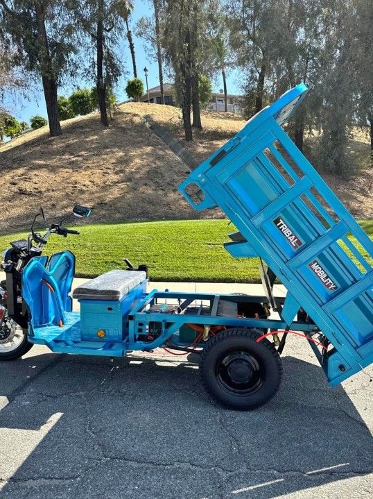 Electric Tribal Cargo Trucks-Limited Edition-1500 lbs 20 Mph 60 Mile range 3,000 Watt Motor 72V 58A