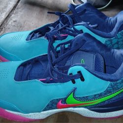 Nike LABRONs
