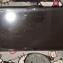 LG Computer Monitor 