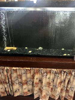 75 Gallon Fish Tank W/stand