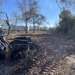 Skid Steer 