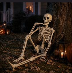 Full Body Poseable Halloween Skeleton Decoration