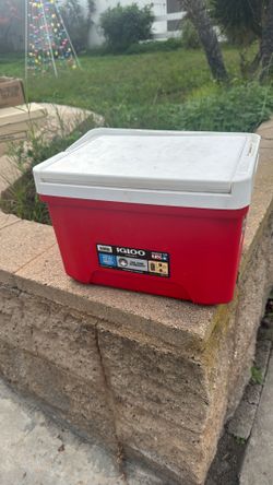 Small Igloo Cooler Pickup Only