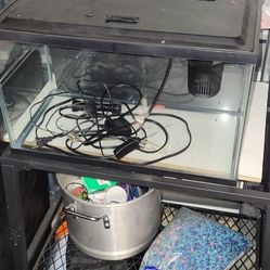 10 Gallon Tank With Stand 