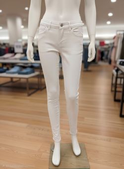 HOLLISTER Women's Pants 5R