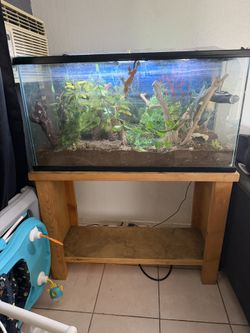 40 Gallon Breeder