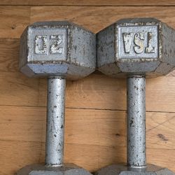 (2)  20 Pound Weights 