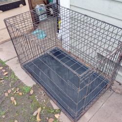 Dog Cage 