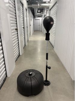 Ringside fitness reflex bag.