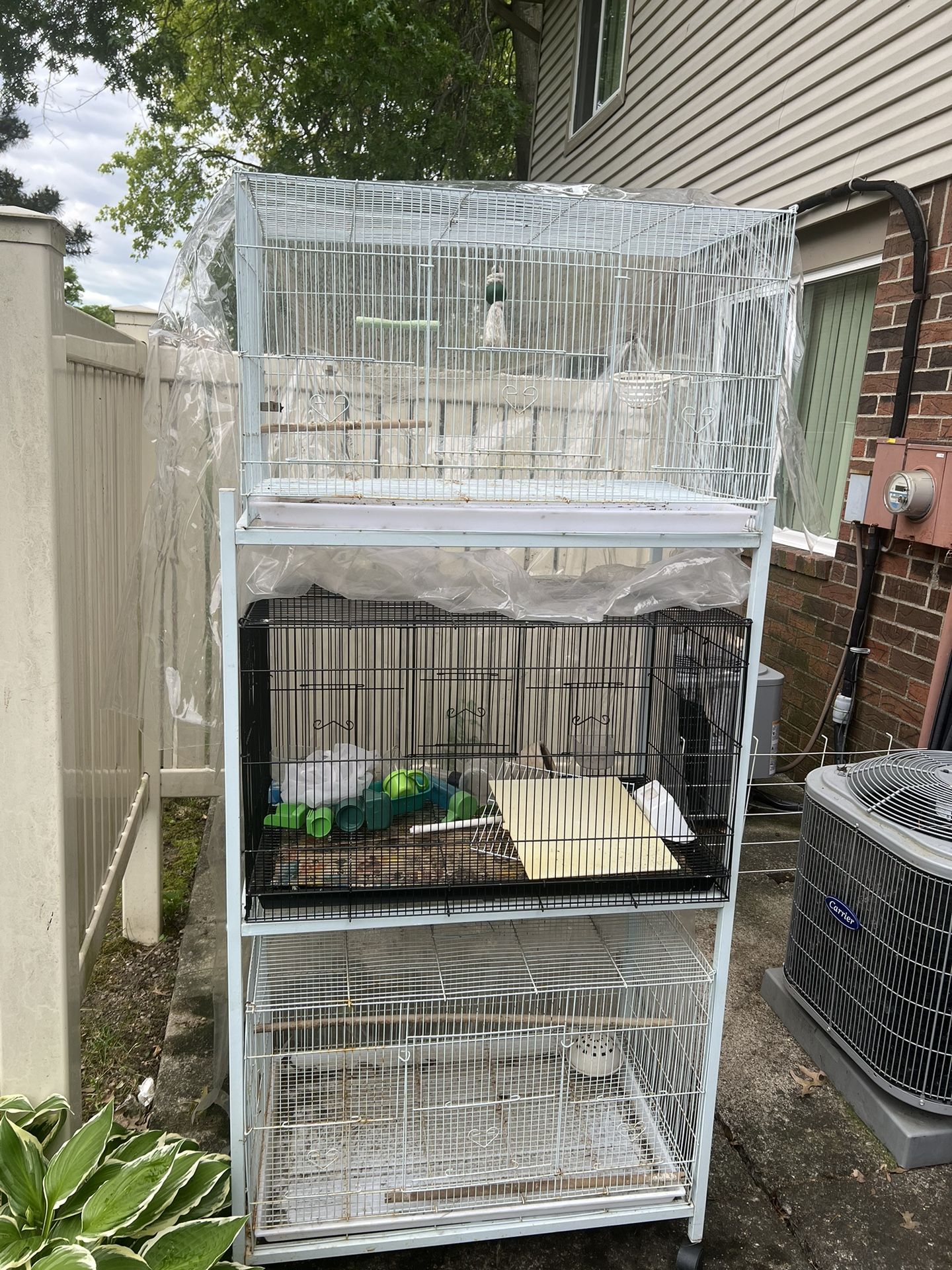 Three types of bird cage