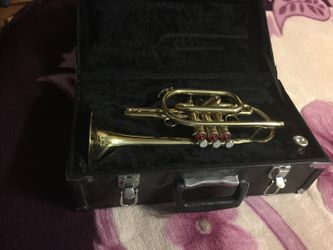 Stagg Cornet