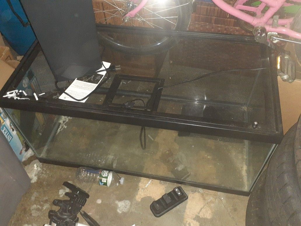 Bearded Dragon Tank And Accessories