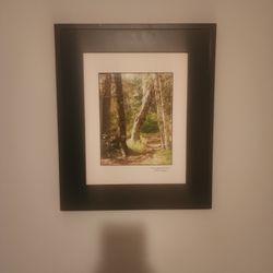 Original Framed Photos - Stuart Taylor Photography & Art