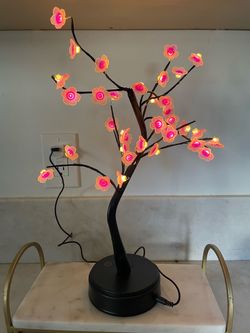LED Lights
