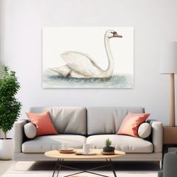 Swimming Swan Contemporary Bird Art