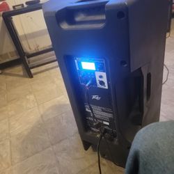 Pvx P15 DSP POWERED SPEAKER 
