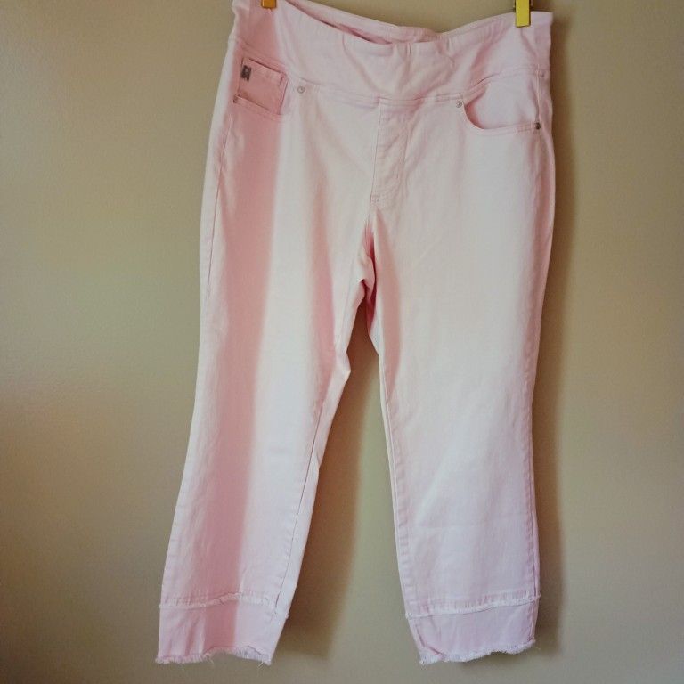 QVC Kim Gravel Triple Luxe Size 16 Pink Straight Leg Jean With Fringe Accent