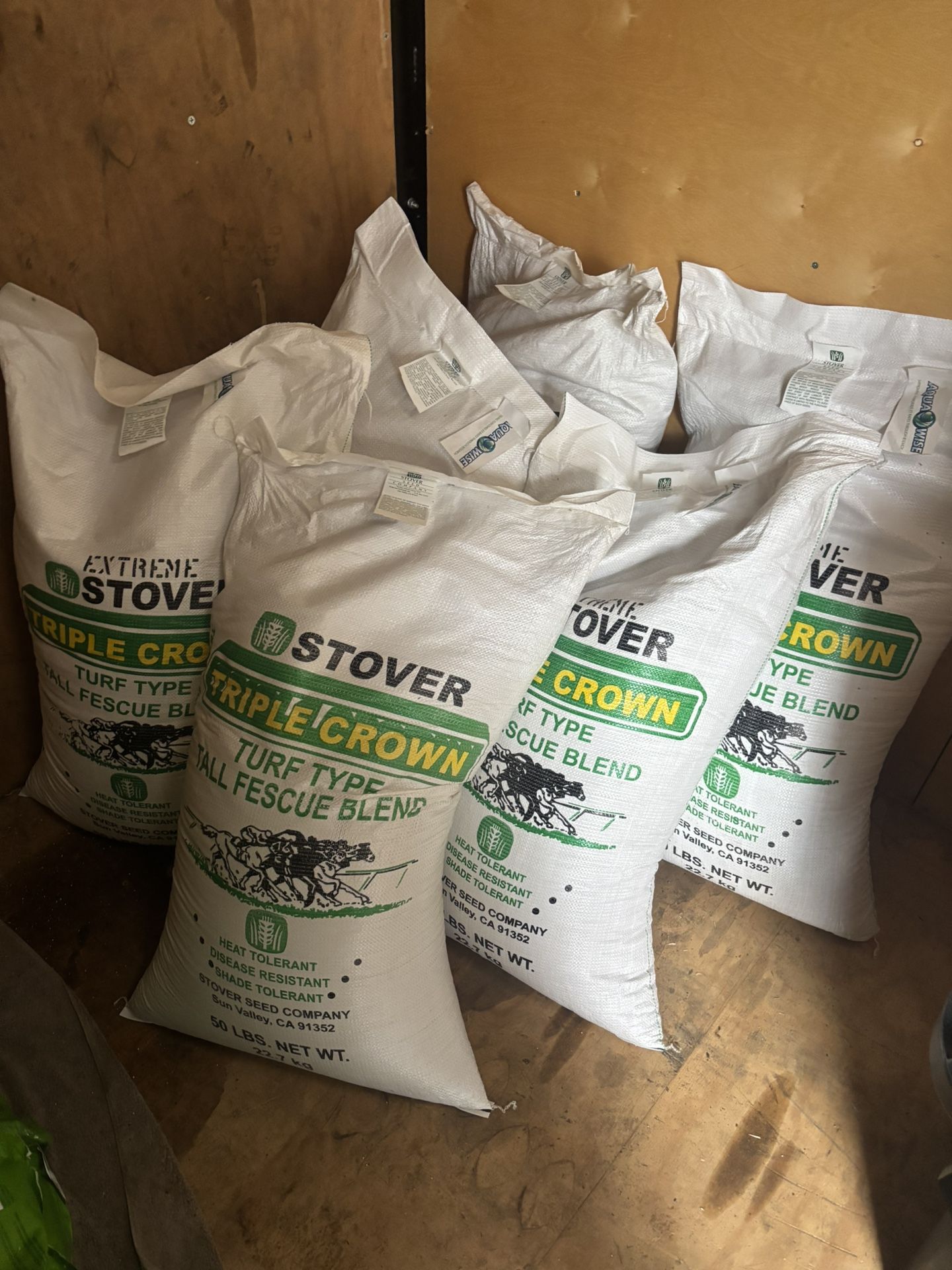 Triple Crown Tall Fescue Grass Seed