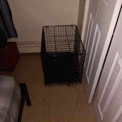 Dog Kennel