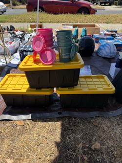 Lowe’s Mini’s