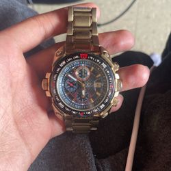 Daniel Steiger Gold Watch