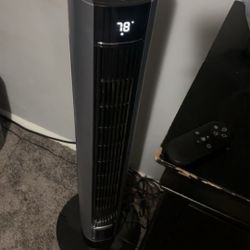 Fan