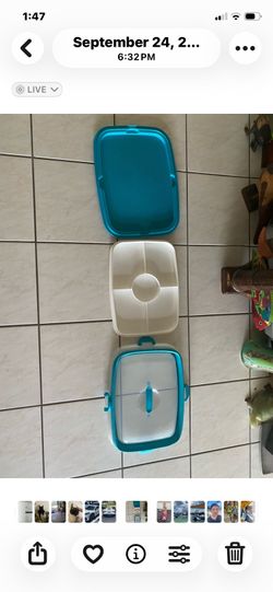 Tupperware Party platter with lid
