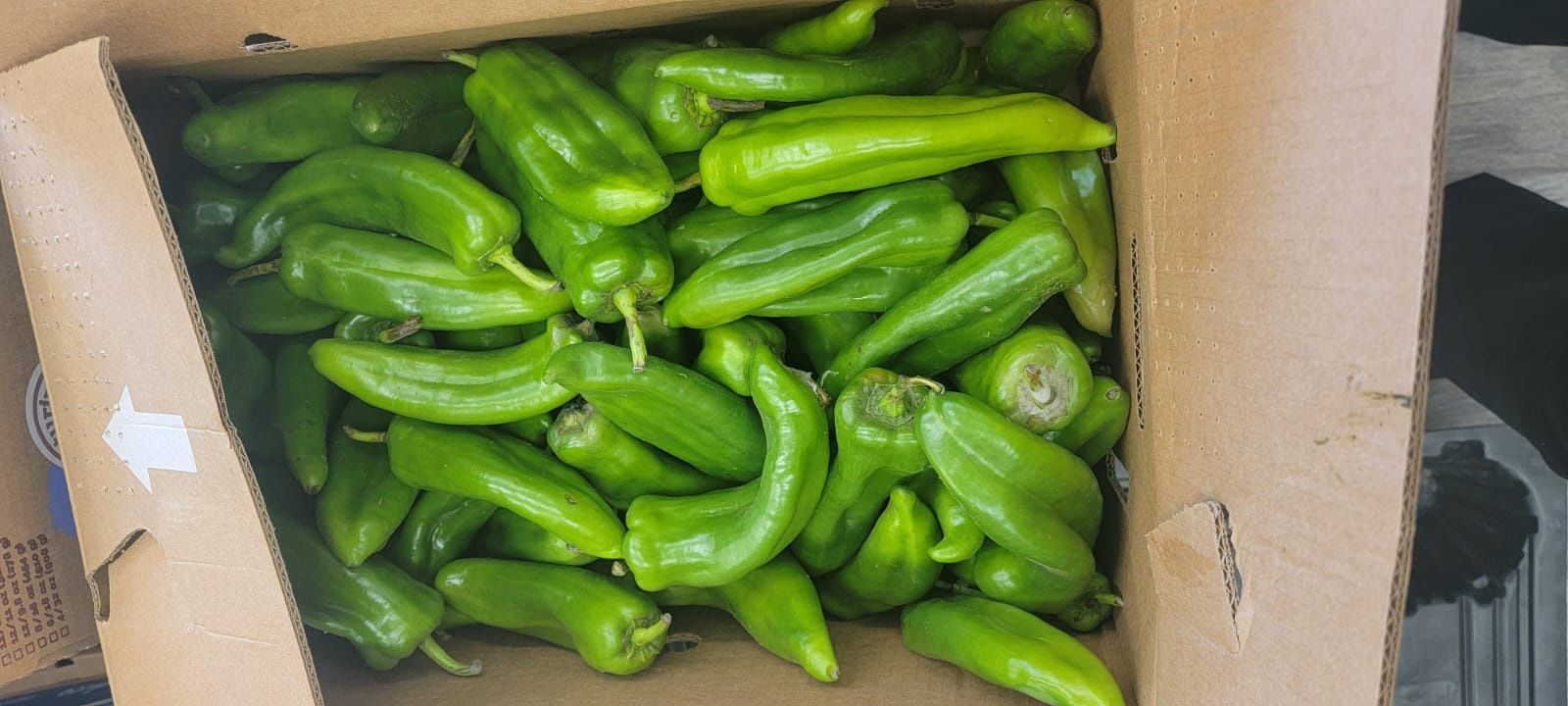 Free Produce Giveaways