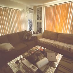 2 FREE Fold-out Bed Couches