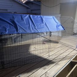 Chicken Coop 