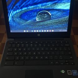 Hp Chromebook