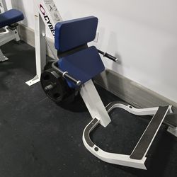 Cybex Angled Donkey Calf Plate Loaded Commercial Gym Equipment Exercise Fitness