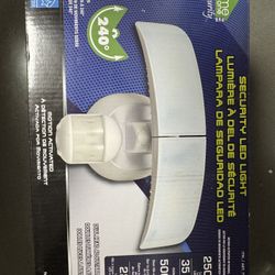 Security Flood Light