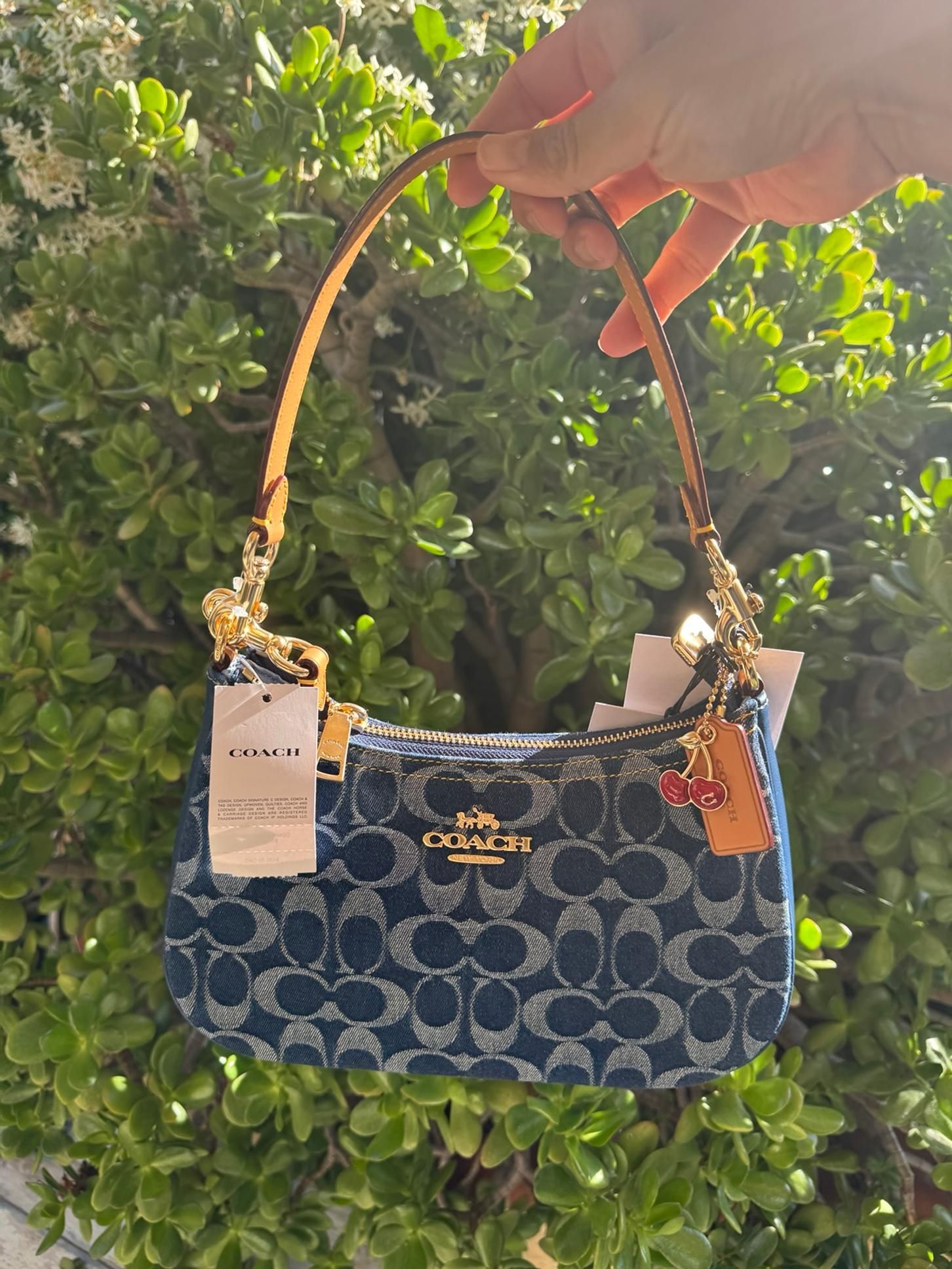 Coach Teri Shoulder Bag In Signature Denim