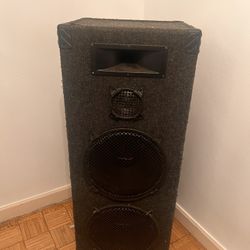4ft Tall Pro Audio Speaker