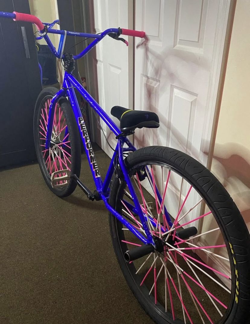 GT Performer 29 Trades