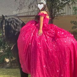 Quinceañera Butterfly Dress