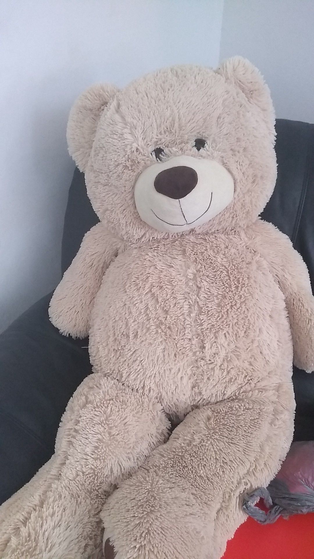 Large teddy bear