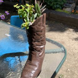 Beautiful Succulent Arrangements