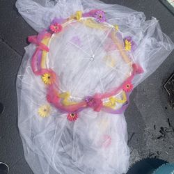 Bed Canopy Above Bed 