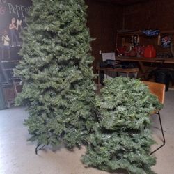 12 Ft Christmas Tree $350