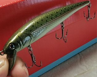 Fishing Lures