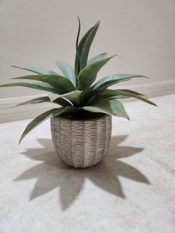 Fake Plant decor