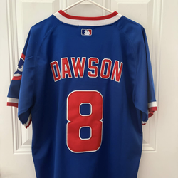 Andre Dawson Jersey