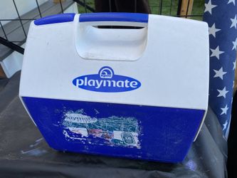 Cooler