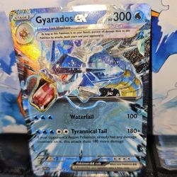 Gyarados Ex Bundle 