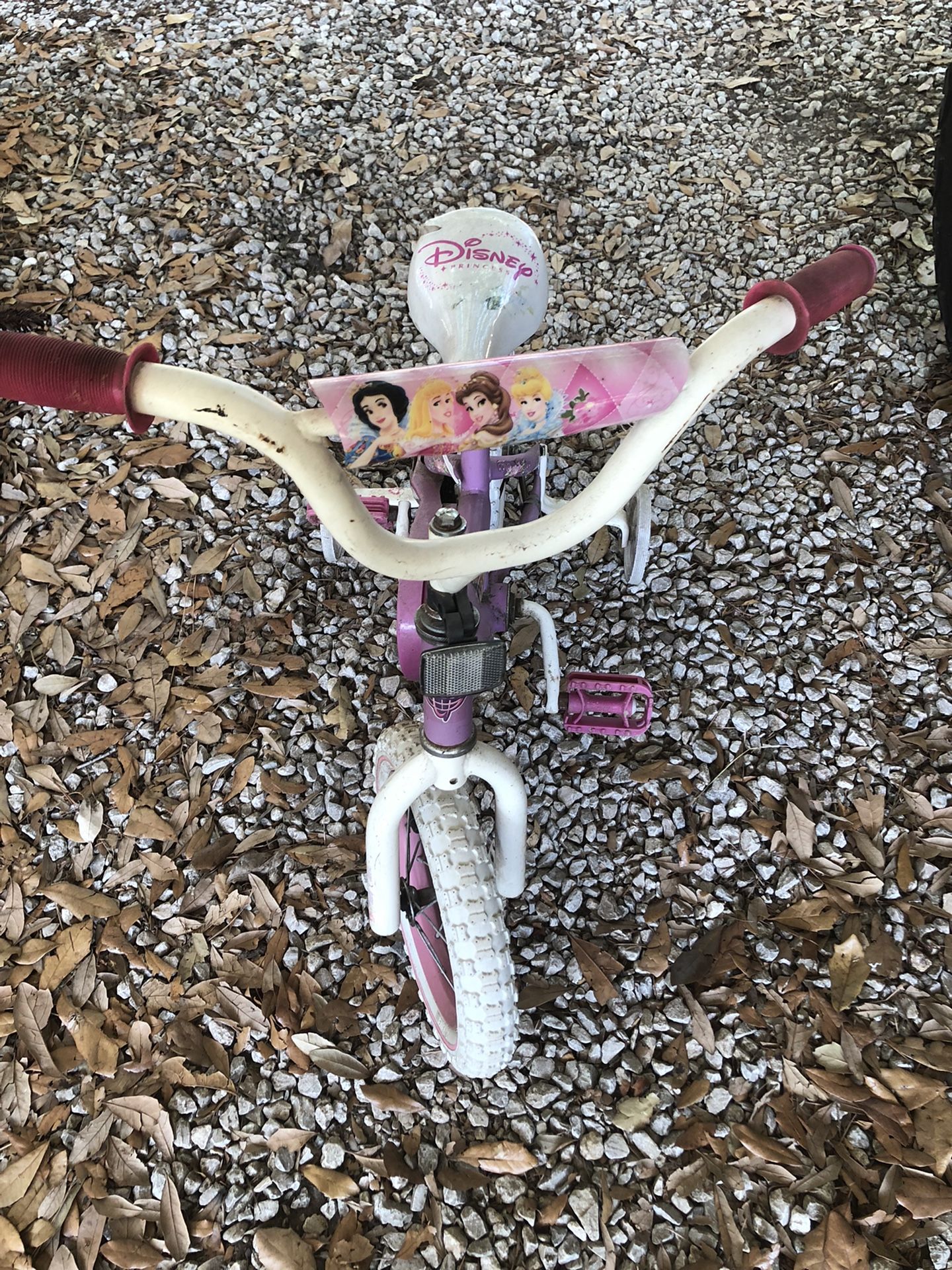 Girls Pink Princess Bike 