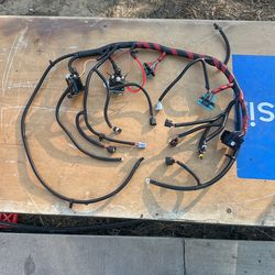 7.3 1999 To 2002 Ford F250,F350,F450,F550 Engine, Wiring Harness. New
